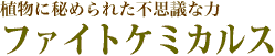 ファイトケミカルス